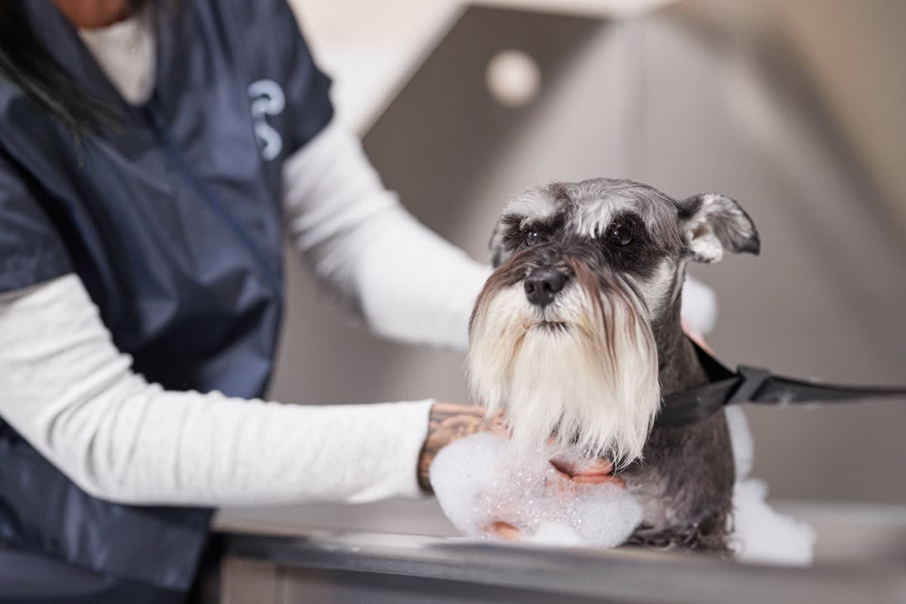 Petco Sustainability & ESG (Environmental, Social & Governance)